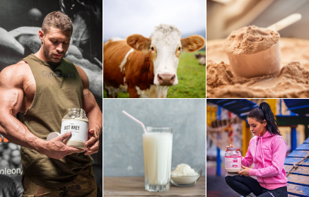 Ορός Γάλακτος και Πρωτεΐνη Ορού Γάλακτος: Όσα πρέπει να γνωρίζετε